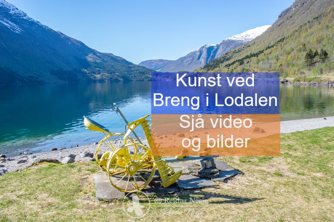 Bilde