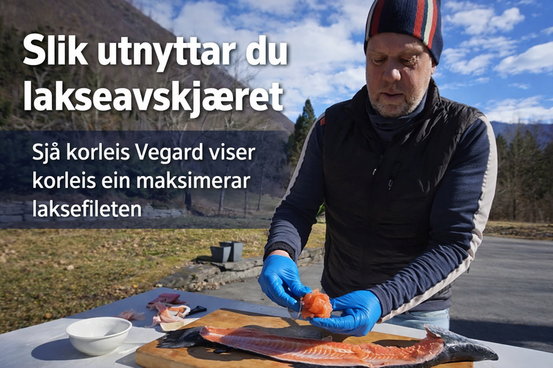 Sjå Vegard Molnes viser korleis ein maksimalt kan utnytte lakseavskjæret