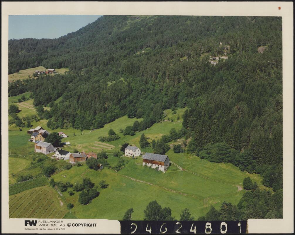 Bilde